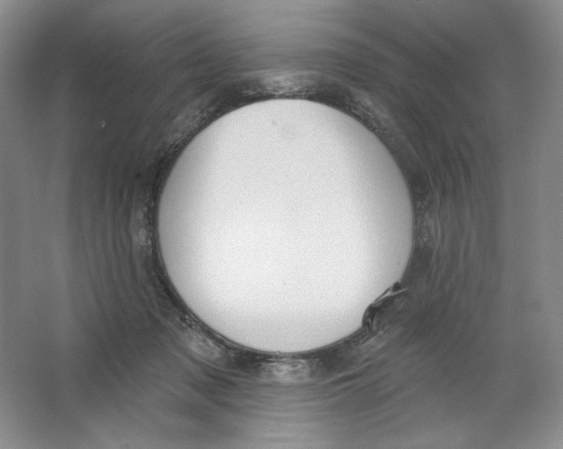 X0000064050317200602171717
