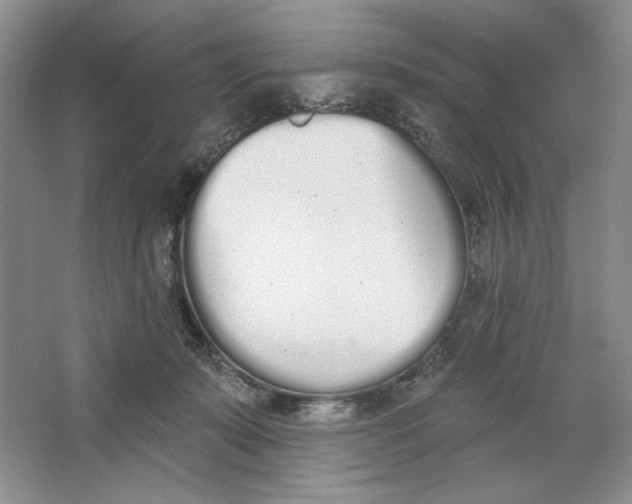 X0000064050319200602171717