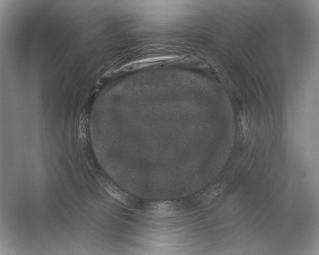 X0000064050325200602171717