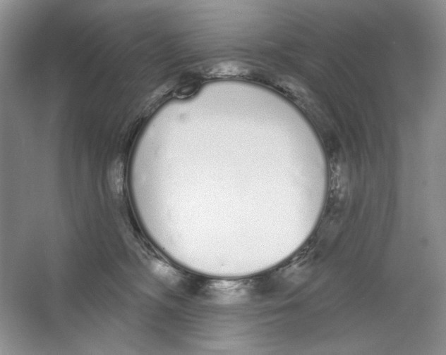 X0000064050326200602171717