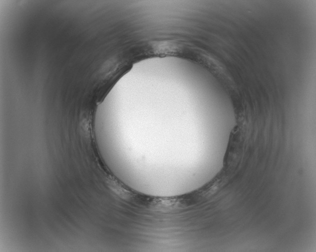X0000064050329200602171717