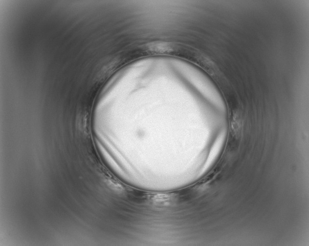 X0000064050330200602171717