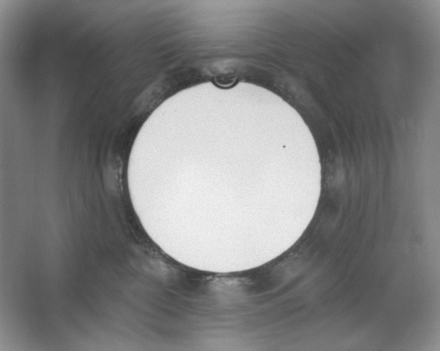 X0000064050332200602171717