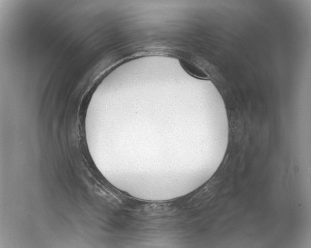 X0000064050338200602171716