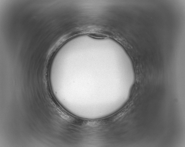 X0000064050341200602171716