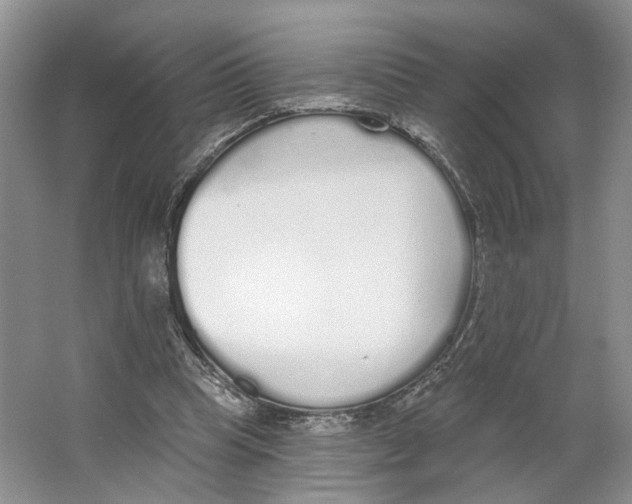 X0000064050345200602171716