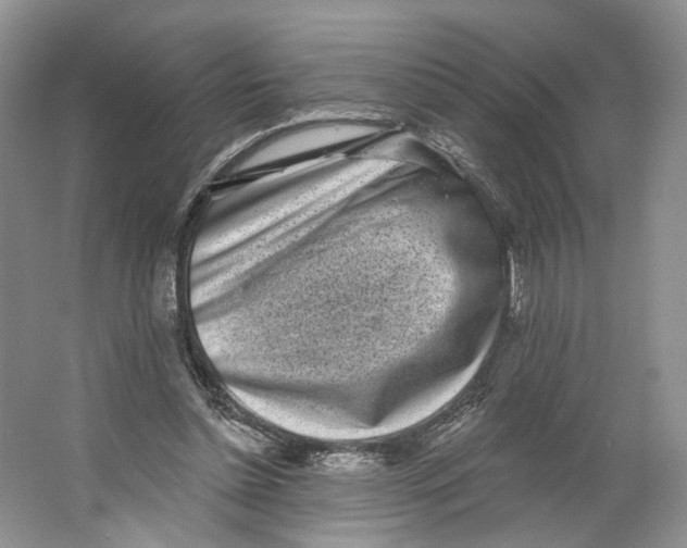 X0000064050348200602171716