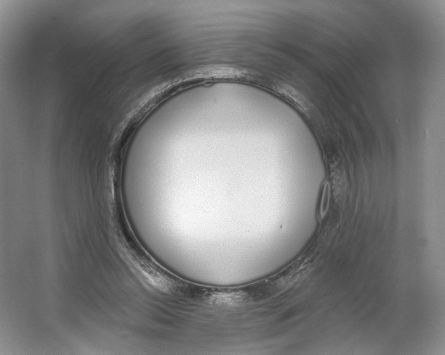 X0000064050350200602171716