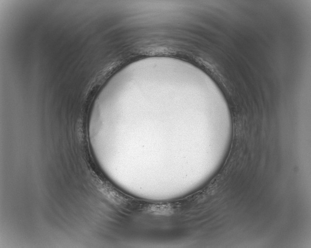 X0000064050353200602171716