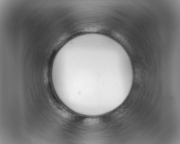 X0000064050354200602171716