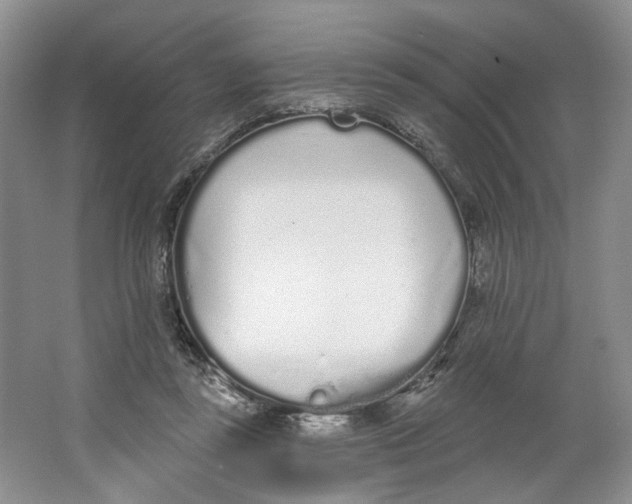 X0000064050355200602171716