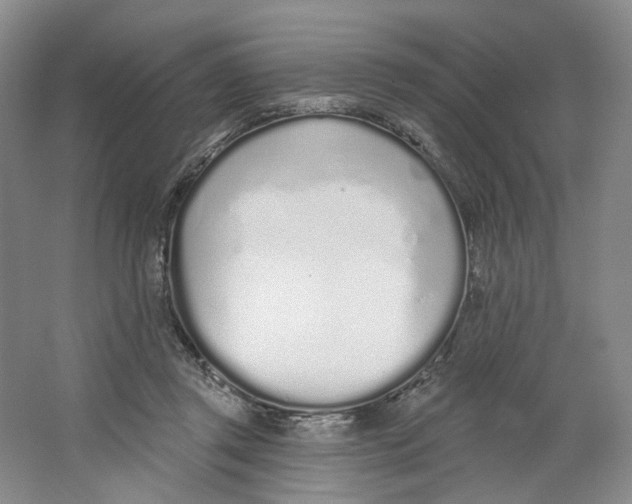 X0000064050357200602171716