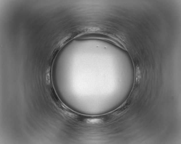 X0000064050360200602171716