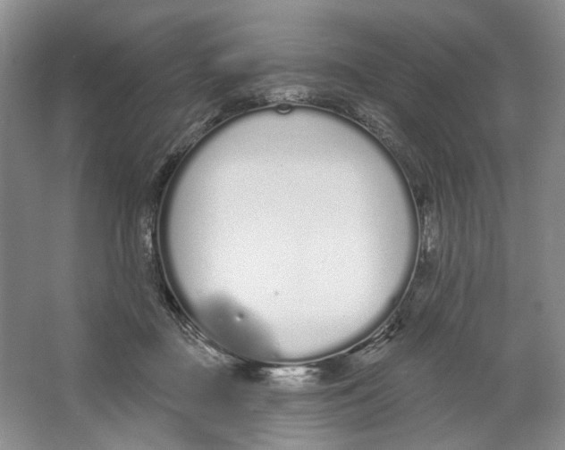 X0000064050363200602171716