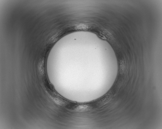 X0000064050364200602171717