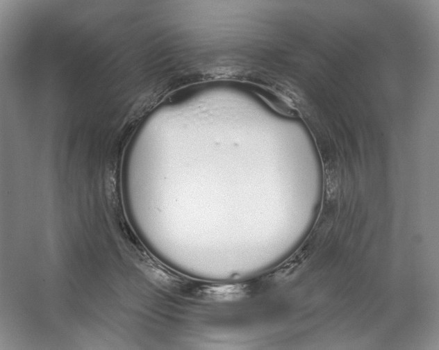 X0000064050365200602171717