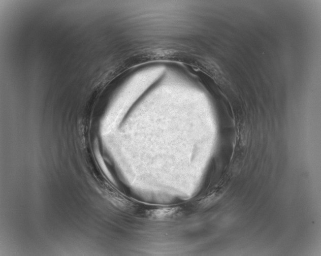 X0000064050366200602171717