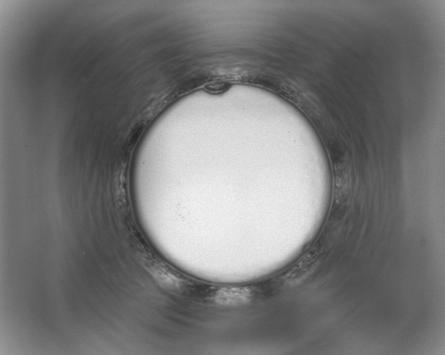 X0000064050369200602171717