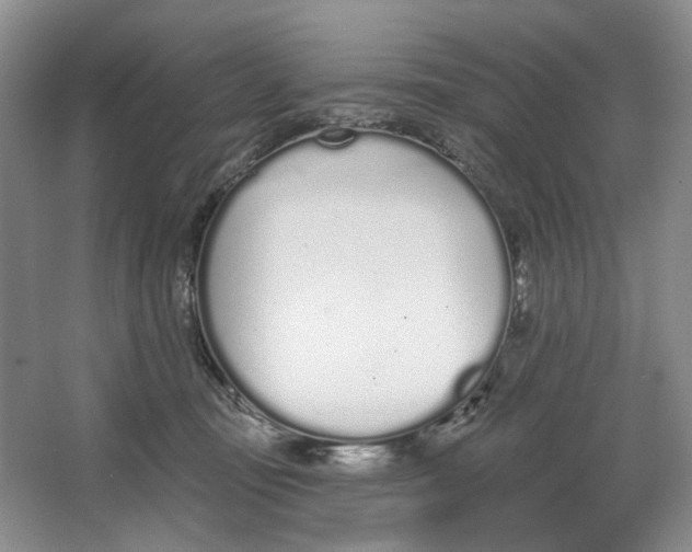 X0000064050371200602171717