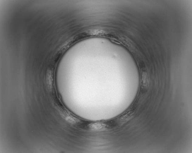 X0000064050372200602171717