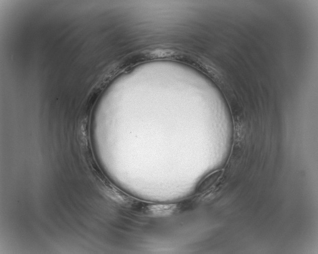 X0000064050373200602171717