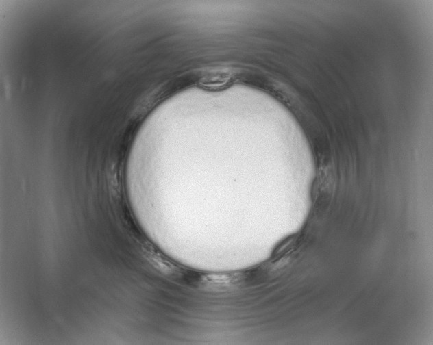 X0000064050381200602171717