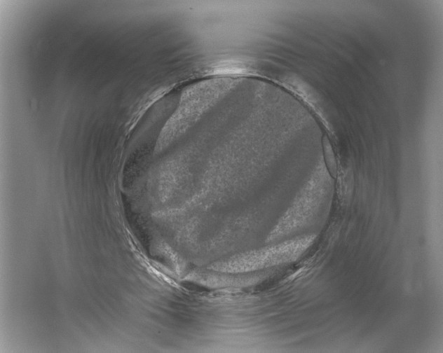 X0000064050385200602171716