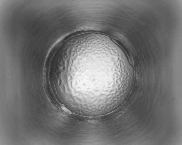X0000064050388200602171716