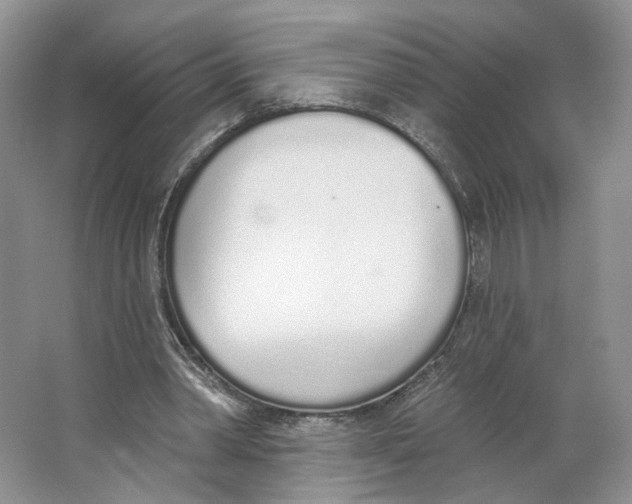 X0000064050390200602171716