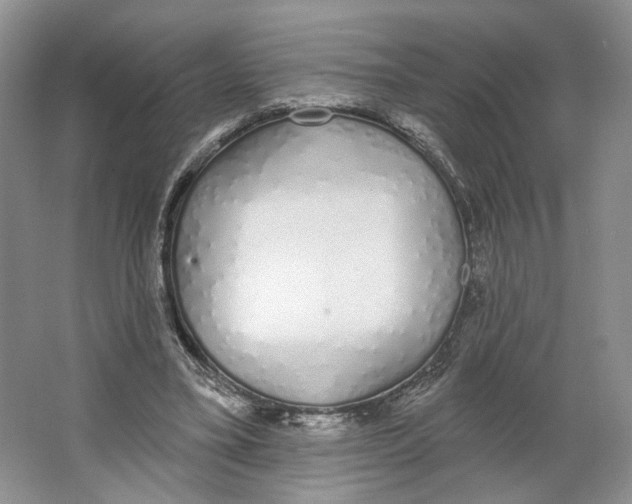 X0000064050395200602171716