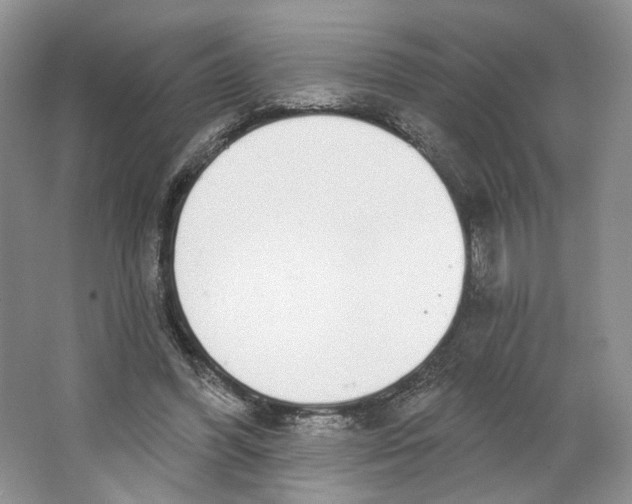 X0000064050396200602171716