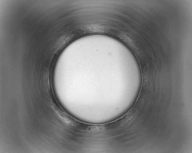 X0000064050398200602171716