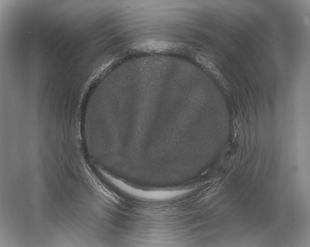 X0000064050399200602171716