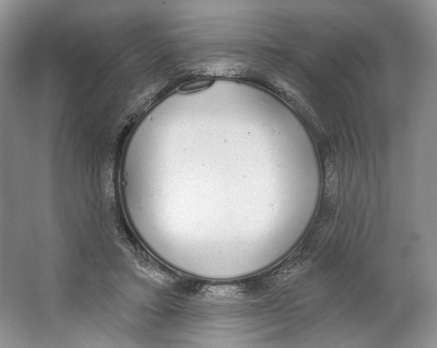 X0000064050403200602171716