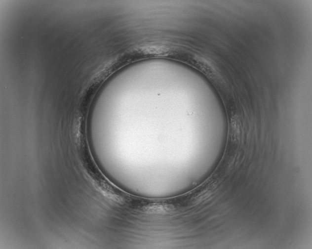X0000064050404200602171716
