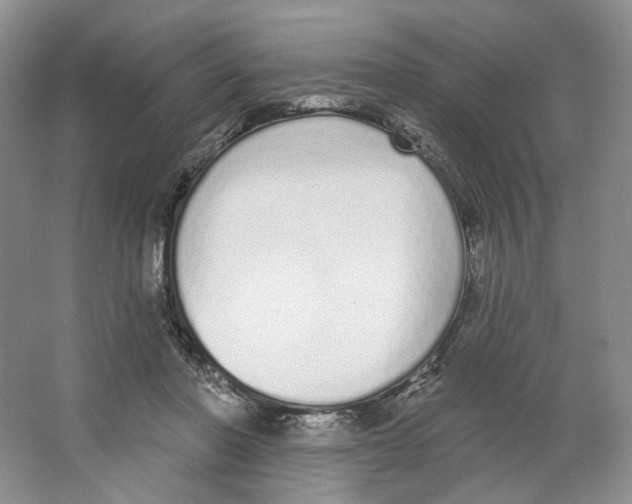 X0000064050406200602171716