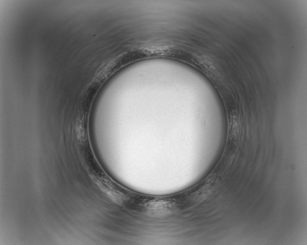 X0000064050408200602171716