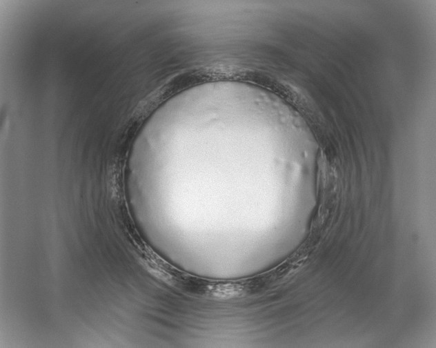 X0000064050409200602171716