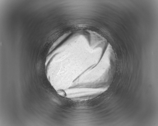 X0000064050410200602171716
