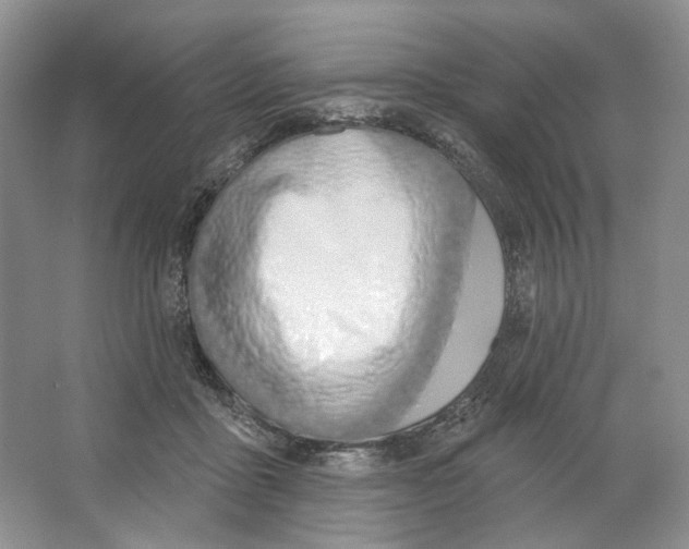 X0000064050411200602171716