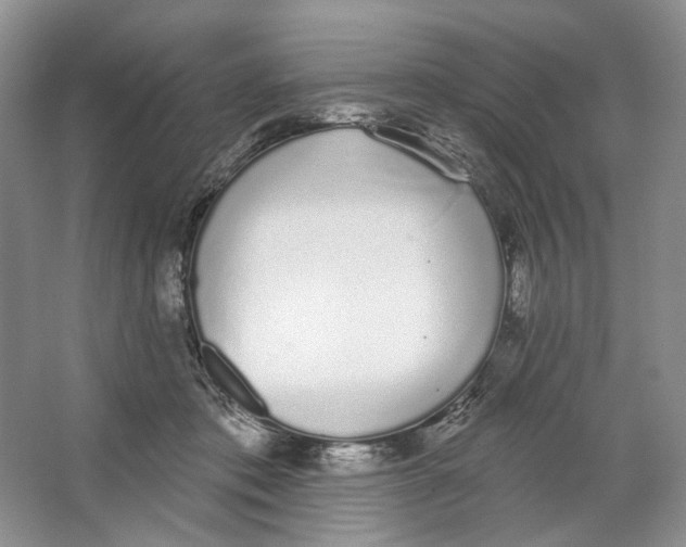 X0000064050413200602171716