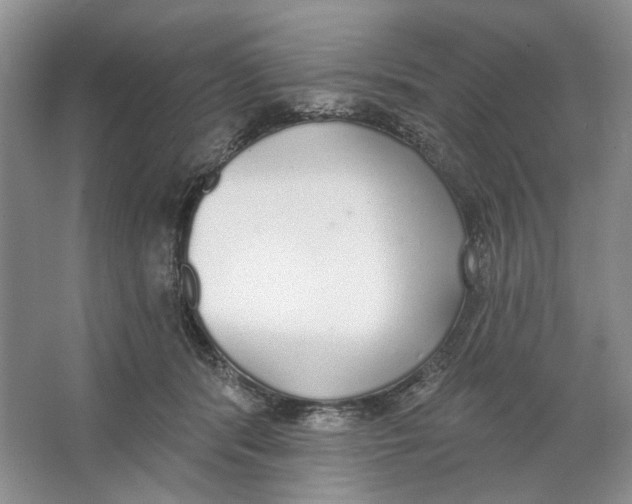X0000064050416200602171716