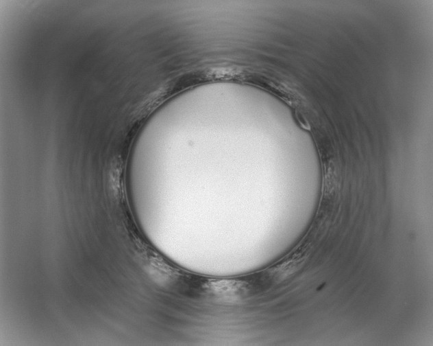 X0000064050417200602171715
