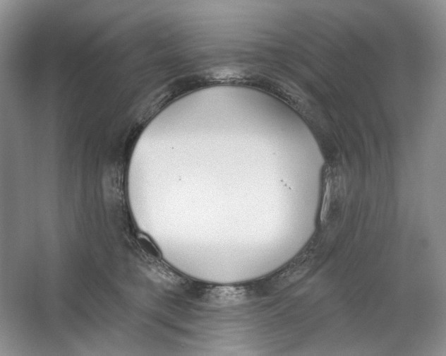 X0000064050421200602171715