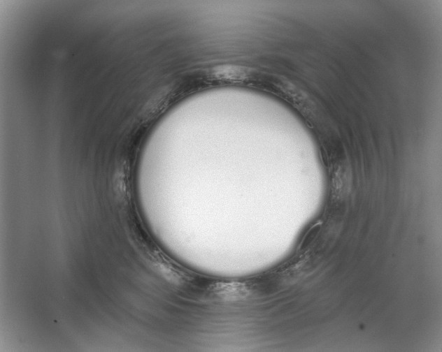 X0000064050424200602171715