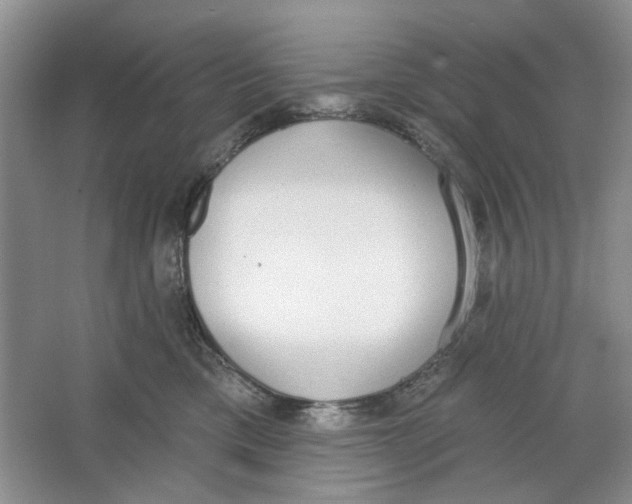 X0000064050425200602171715