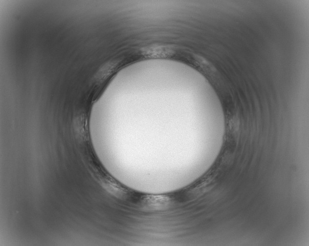 X0000064050429200602171715