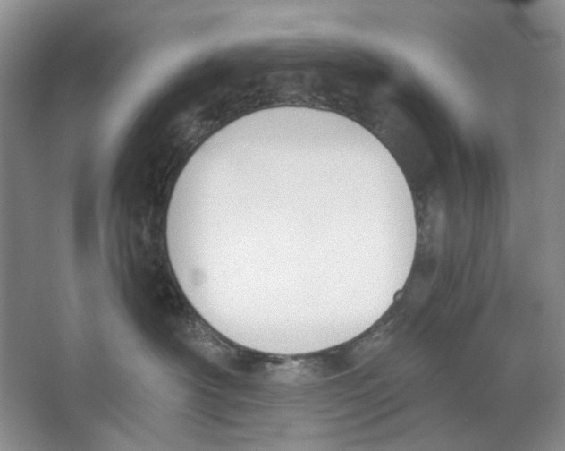 X0000064050430200602171715