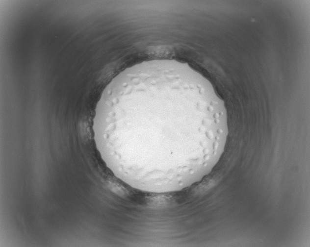 X0000064050432200602171715