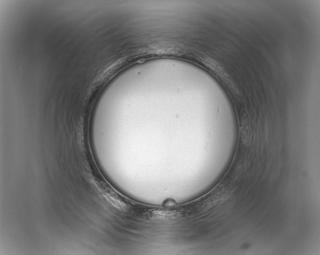 X0000064050442200602171715